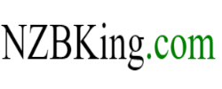 NZBKing logo